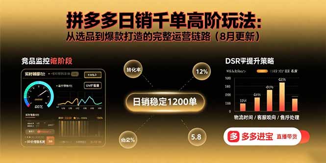 拼多多日销千单高阶玩法：从选品到爆款打造的完整运营链路(8月更新-轻资本网