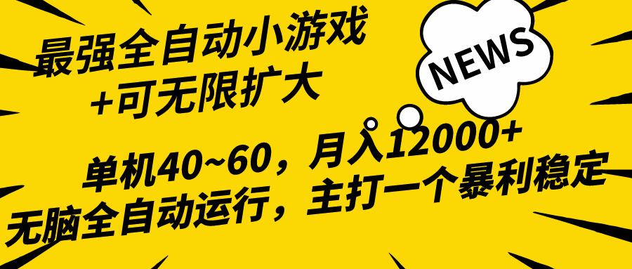 (10046期)2024最新全网独家小游戏全自动，单机40~60,稳定躺赚，小白都能月入过万-轻资本网