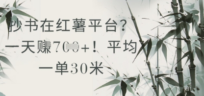 抄书在小红薯平台？平均一单30米，一天收益几张！-轻资本网