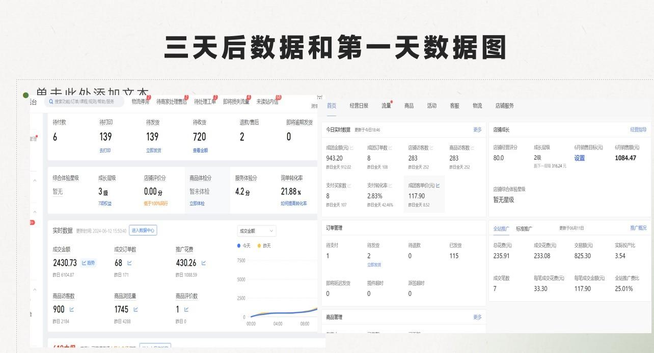 图片[1]-最新拼多多，日入4K+，2日过百单无学费，合作代运营-轻资本网
