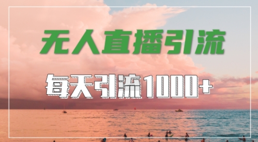 抖音快手视频号全平台通用，无人直播引流法，超暴力引流1000+高质量精准创业粉【揭秘】-轻资本网