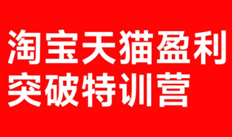玺承·淘宝天猫盈利突破特训营(25年12月线下课)【音频+字幕】-轻资本网