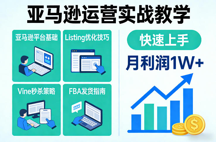 亚马逊运营实战教学，亚马逊平台+Listing优化+Vine秒杀+FBA发货等，快速上手，实现店铺月利润1W-轻资本网