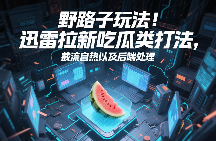 野路子玩法！迅雷拉新吃瓜类打法，截流自热以及后端处理-轻资本网