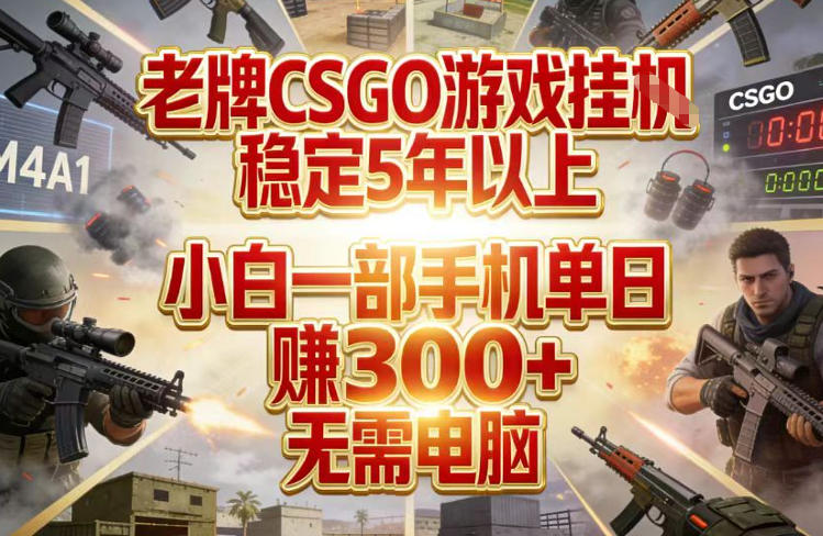 老牌CSGO游戏挂G，稳定5年以上，小白一部手机单日賺3张+，无需电脑【揭秘】-轻资本网