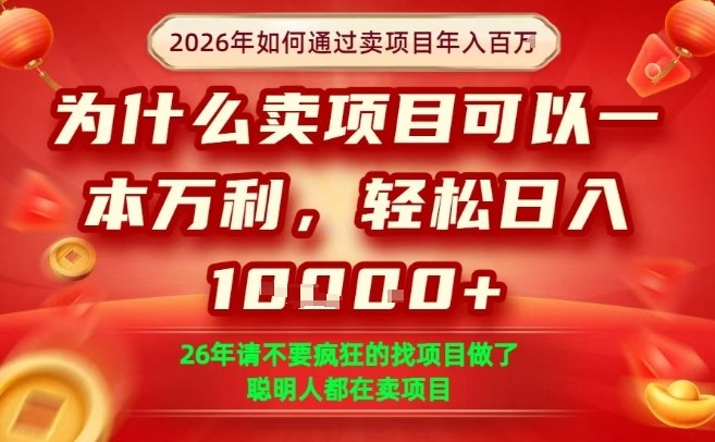 一单净利润1K+，26年想年入100个W，死磕卖项目就够了【揭秘】-轻资本网