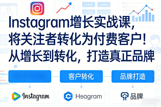 Instagram增长实战课，将关注者转化为付费客户！从增长到转化，打造真正品牌(双语字幕)-轻资本网