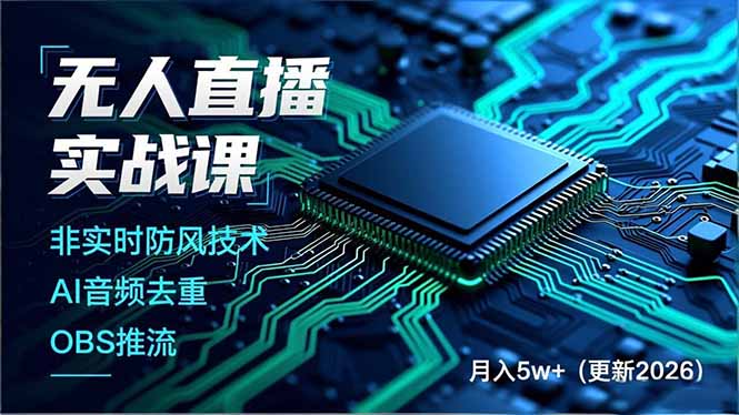 无人直播实战课(更新3月-轻资本网