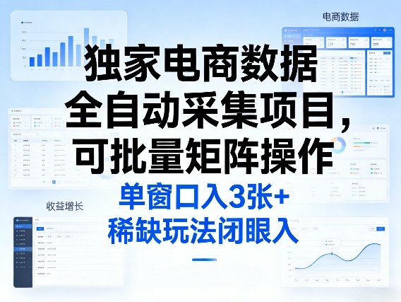独家电商数据全自动采集项目，可批量矩阵操作，单窗口日入3张+，稀缺玩法闭眼入【揭秘】-轻资本网