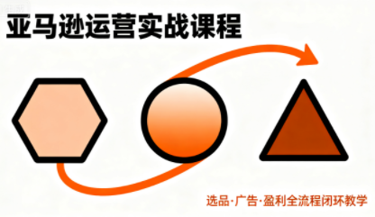 毕方电商·亚马逊全站会员课程(更新3月)-轻资本网