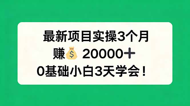 最新项目实操3个月，赚钱20000+，0基础小白3天学会！-轻资本网