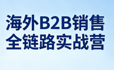 雨哥·海外B2B销售全链路实战营-轻资本网