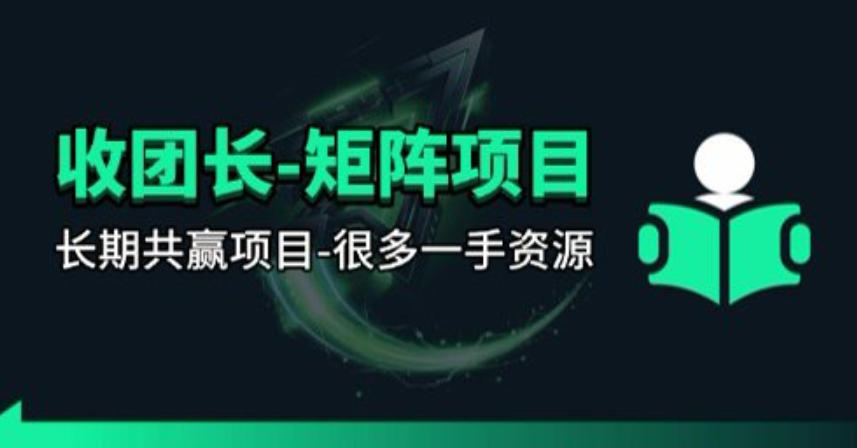 【团长合作】视频矩阵项目_招发手矩阵+剪辑师，共赢项目【揭秘】-轻资本网