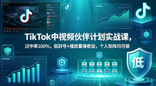 TikTok中视频伙伴计划实战课，过中率100%，低封号+播放量賺收益，个人矩阵均可做-轻资本网