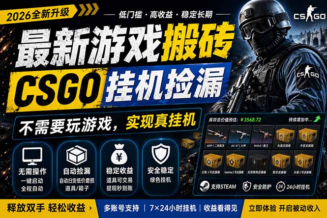 最新游戏搬砖，CSGO纯挂机，不需要玩游戏，实现真挂机，月入1W+，五一小高峰上车可吃肉，…-轻资本网