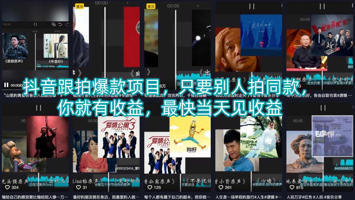 抖音跟拍爆款项目，只要别人拍同款，你就有收益，最快当天见收益-轻资本网