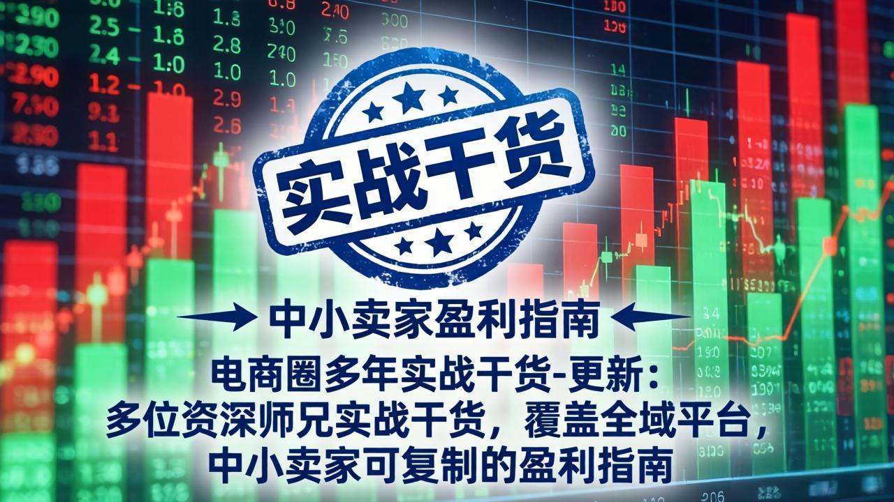 电商圈多年实战干货-更新5月10：多位资深师兄实战干货/覆盖全域平台，中小卖家可复制的盈利指南-轻资本网