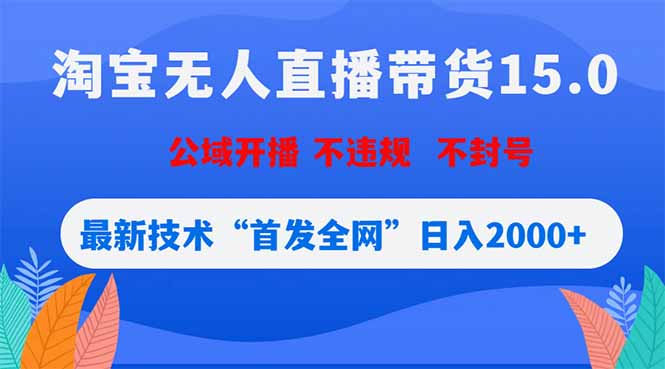 淘宝无人直播带货15.0，不封号，不违规，公域玩法，首发全网日入2000+-轻资本网