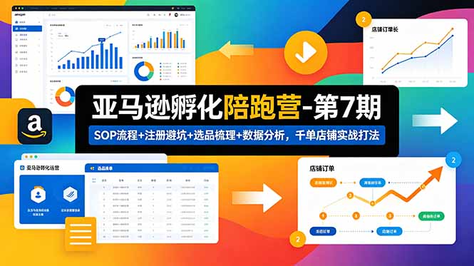 亚马逊孵化陪跑营-第7期：SOP流程+注册避坑+选品梳理+数据分析，千单店铺实战打法-轻资本网