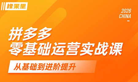 仙道电商·拼多多零基础运营实战课-轻资本网