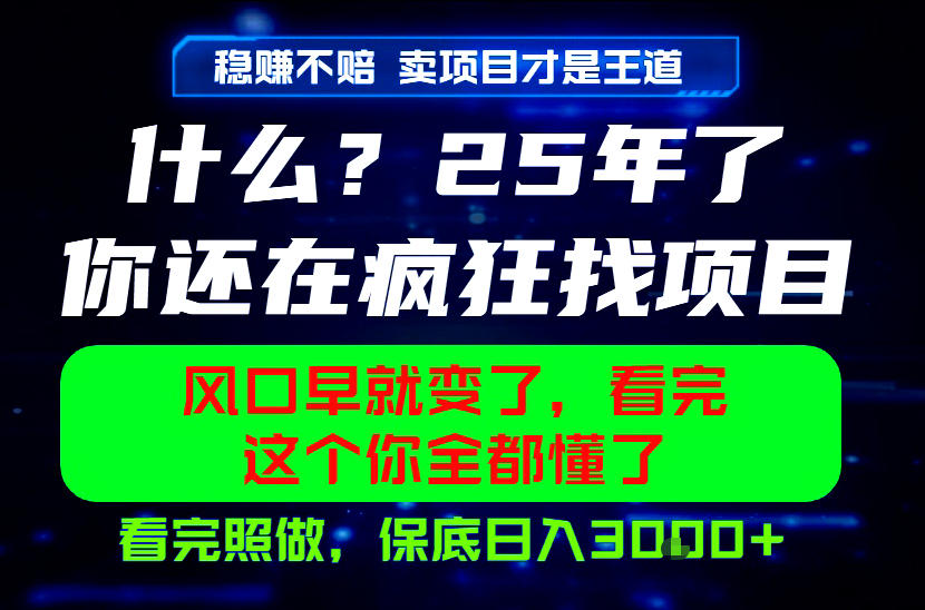 26年，请不要疯狂的找项目做了！卖项目才是真的稳賺不赔，看完照做，保底日入1k+【揭秘】-轻资本网