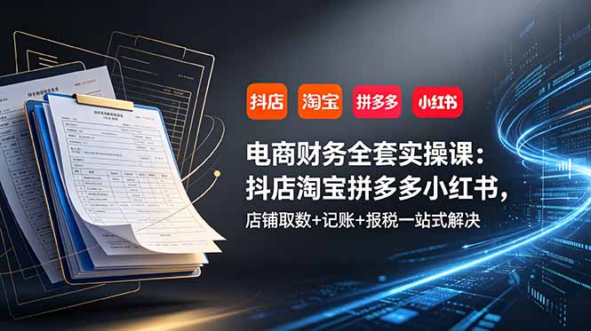 电商财务全套实操课：抖店淘宝拼多多小红书，店铺取数+记账+报税一站式解决-轻资本网