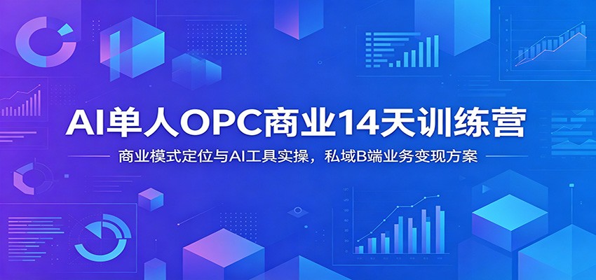 AI单人OPC商业14天训练营：商业模式定位与AI工具实操，私域B端业务变现方案-轻资本网