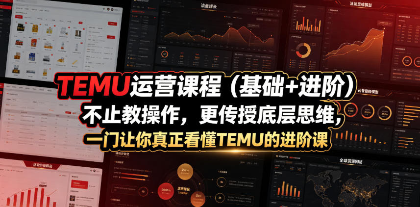 TEMU运营课程(基础+进阶)，不止教操作，更传授底层思维，一门让你真正看懂TEMU的进阶课-轻资本网