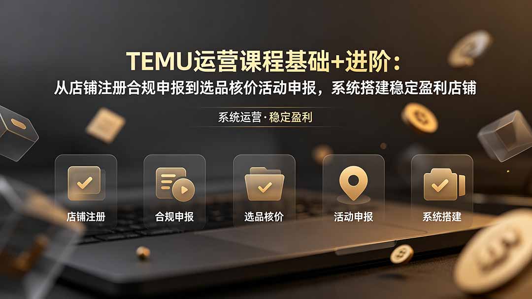 TEMU运营课程(基础+进阶-轻资本网