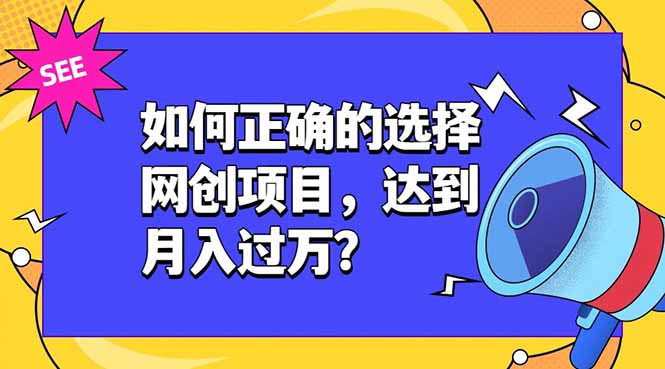 如何正确的选择网创项目，达到月入过万？，本课程教你正确选择项目。-轻资本网