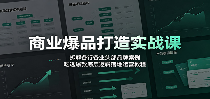 商业爆品打造实战课：拆解各行各业头部品牌案例，吃透爆款底层逻辑落地运营教程-轻资本网