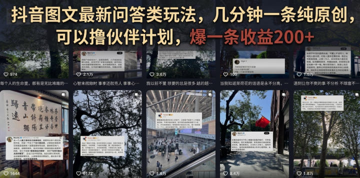 抖音图文最新问答类玩法，几分钟一条纯原创，可以撸伙伴计划，爆一条收益200+-轻资本网
