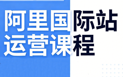 张国儒·阿里国际站运营课程(更新7月)-轻资本网