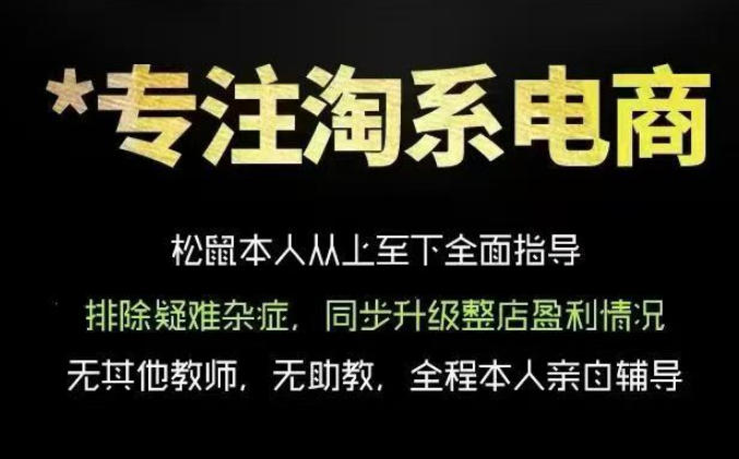 松鼠会电商VIP课程，从基础布局到高阶优化，助你掌握淘宝运营逻辑，提升店铺流量与转化(更新0815)-轻资本网