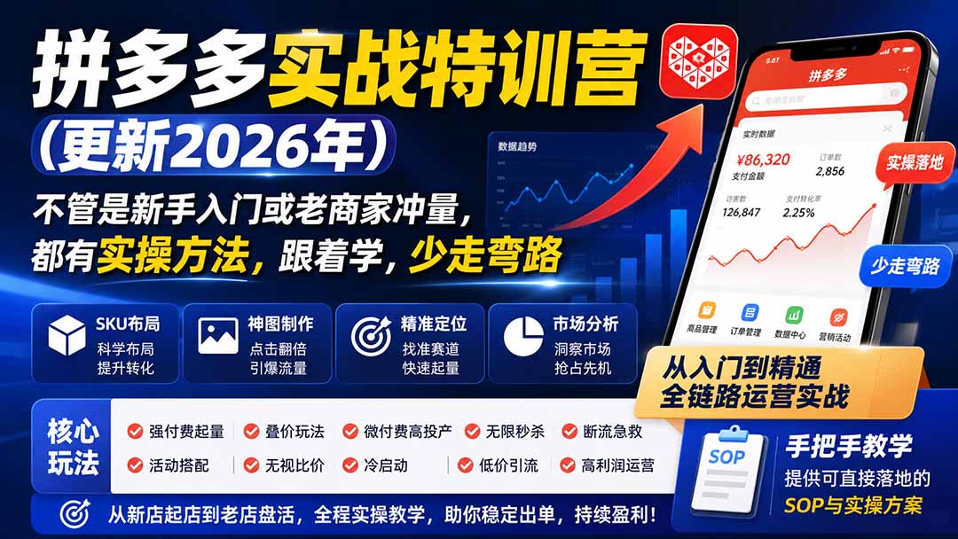 拼多多实战特训营(更新26年0821-轻资本网