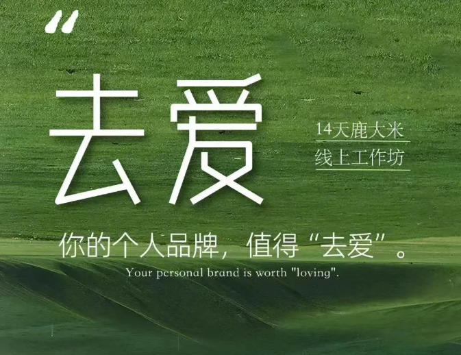 去爱14天鹿大米线上工作坊，你的个人品牌，值得“去爱”-轻资本网