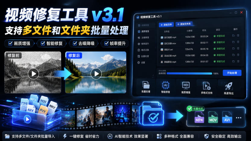 视频修复工具v3.1，支持多文件和文件夹批量处理-轻资本网