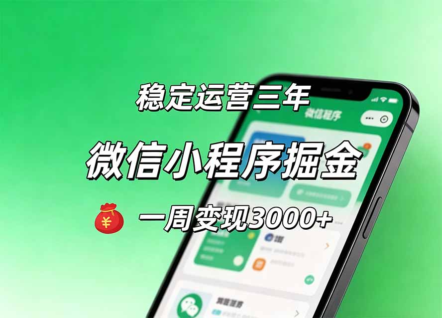 月收益稳定1W+的微信小程序，前期积累客户，后期躺平养老，小白轻松上手-轻资本网