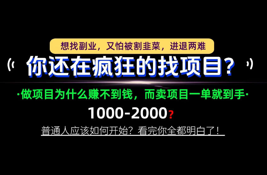 你还在疯狂的找项目？别傻了！卖项目才是真正的一本万利！怎么做，看完你全都明白！【揭秘】-轻资本网
