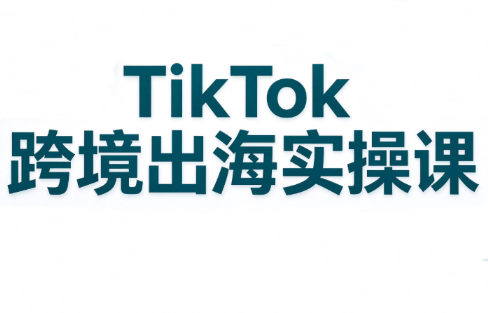 彭老师·TikTok跨境出海实操课-轻资本网