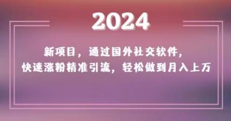 2024新项目，通过国外社交软件，快速涨粉精准引流，轻松做到月入上万【揭秘】-轻资本网