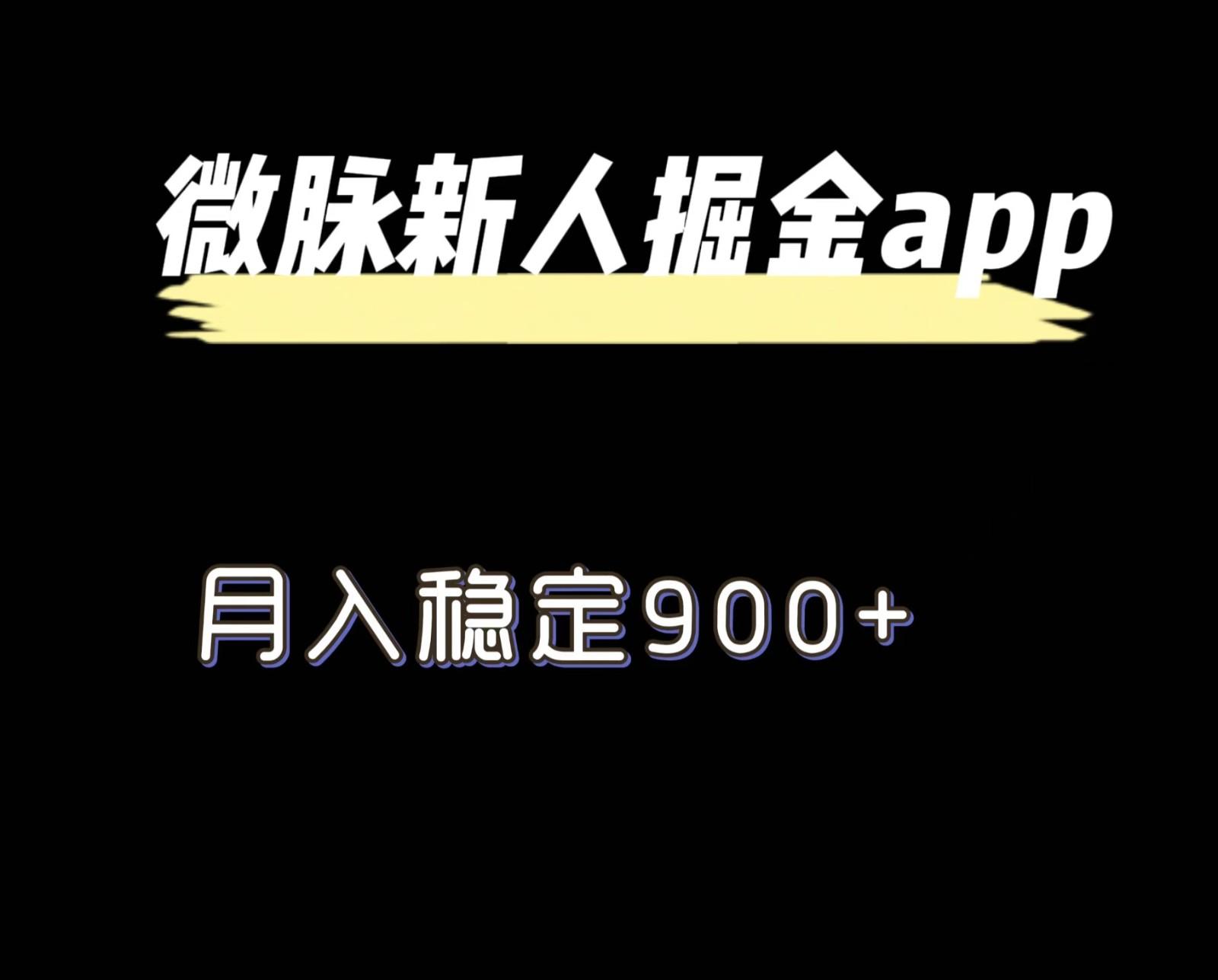 最新微脉长久项目，拉新掘金，月入稳定900+-轻资本网