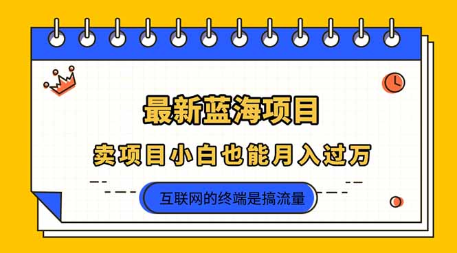 2025年最新蓝海项目，卖项目小白也能月入过万-轻资本网