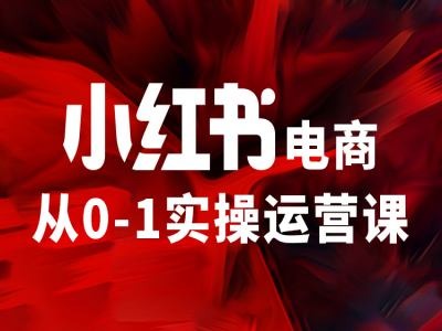 小红书电商从0-1实操运营课，让你从小白到精英-轻资本网