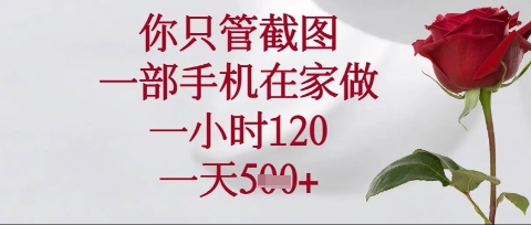 你只管截图，一部手机在家操作，一小时120.一天5张【揭秘】-轻资本网