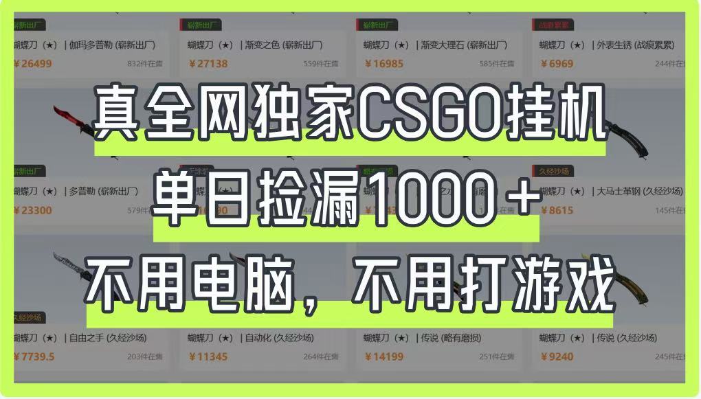 真全网独家CSGO挂机，单日捡漏1000+，不用电脑，不用养号-轻资本网