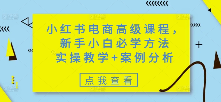 小红书电商高级课程，新手小白必学方法，实操教学+案例分析-轻资本网