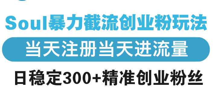 Soul暴力截流创业粉玩法，当天注册当天进流量，日稳定300+精准创业粉丝-轻资本网