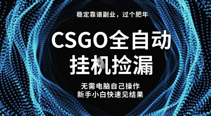 【稳定副业】全球最热门游戏CSGO全自动捡漏，最新玩法，新手小白日入5张+【揭秘】-轻资本网