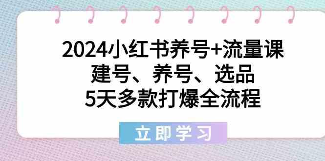 2024小红书养号+流量课：建号、养号、选品，5天多款打爆全流程-轻资本网